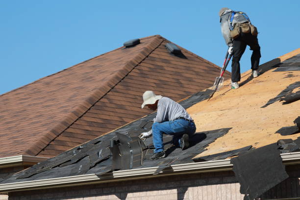 Best Roof Maintenance and Cleaning  in Severn, MD